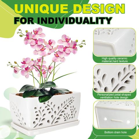 LKSSZS 10 inch orchid pot fits 2 to 3 plants securely