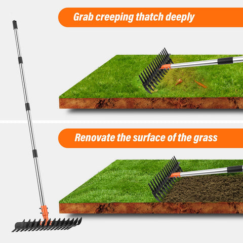 Lmaytech in action during yard cleanup, removing thatch and leaves.