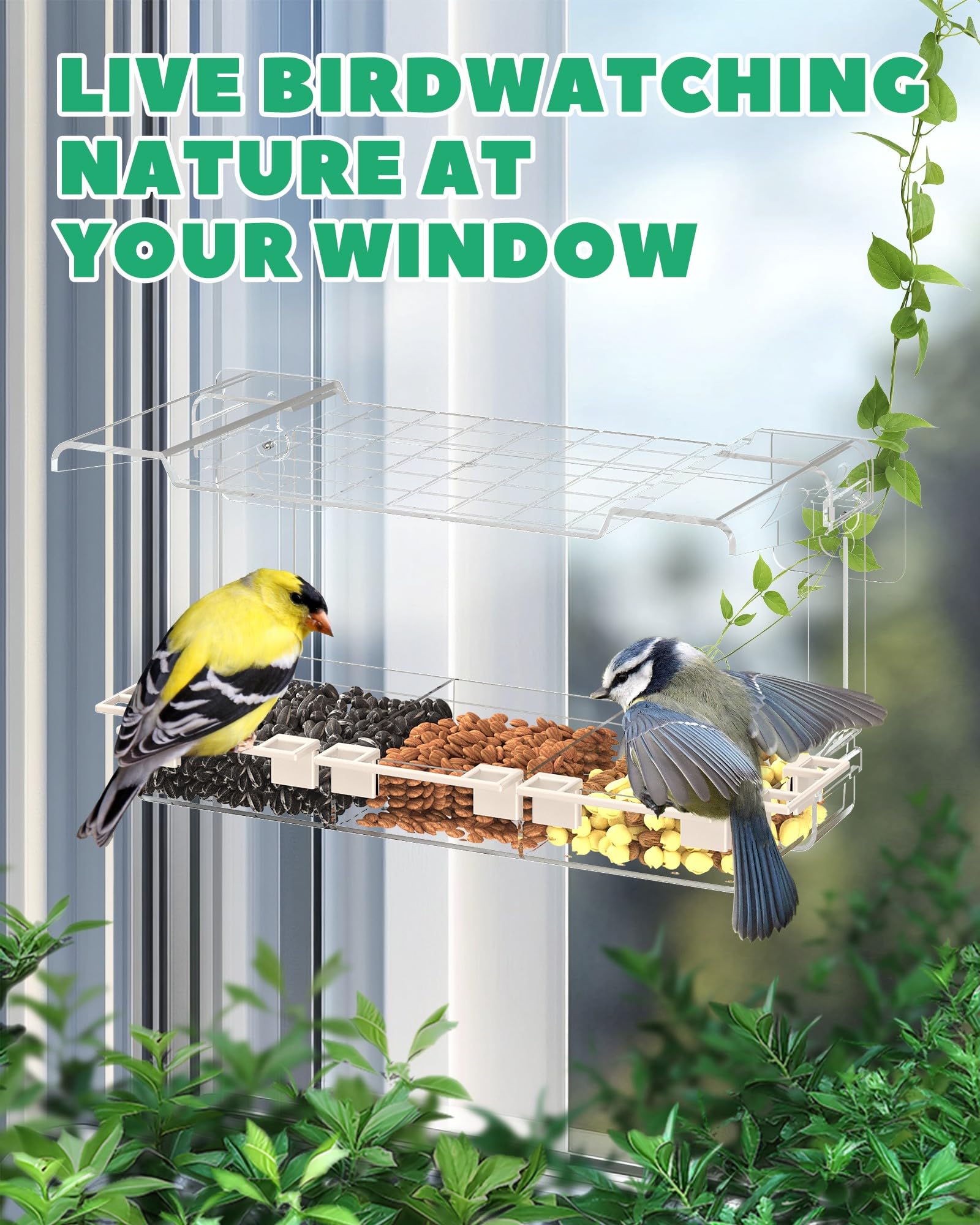 LMHOME Clear Window Bird Feeder tile roof keeps seeds dry in rain