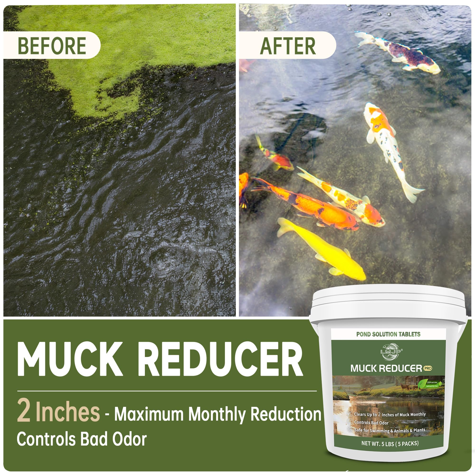 LMJP muck reducer tablets dissolving on pond bottom releasing enzymes to improve water quality