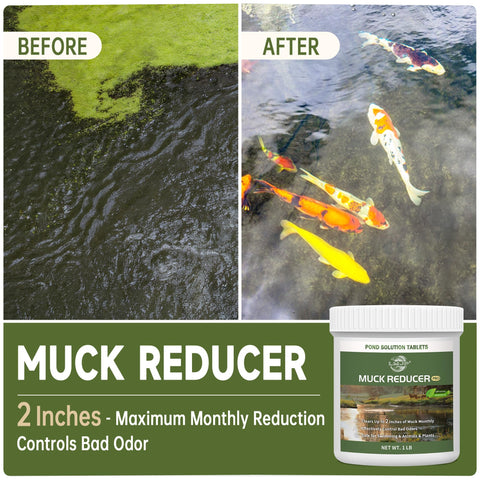 LMJP Muck Reducer tablets dissolving in water demonstrate sludge contact.