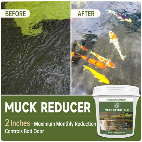 LMJP muck reducer tablets dissolving on pond bottom releasing enzymes to improve water quality