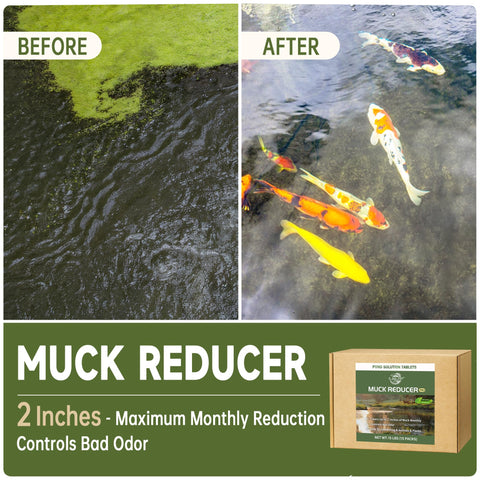LMJP Muck Reducer tablets releasing odor control in pond water