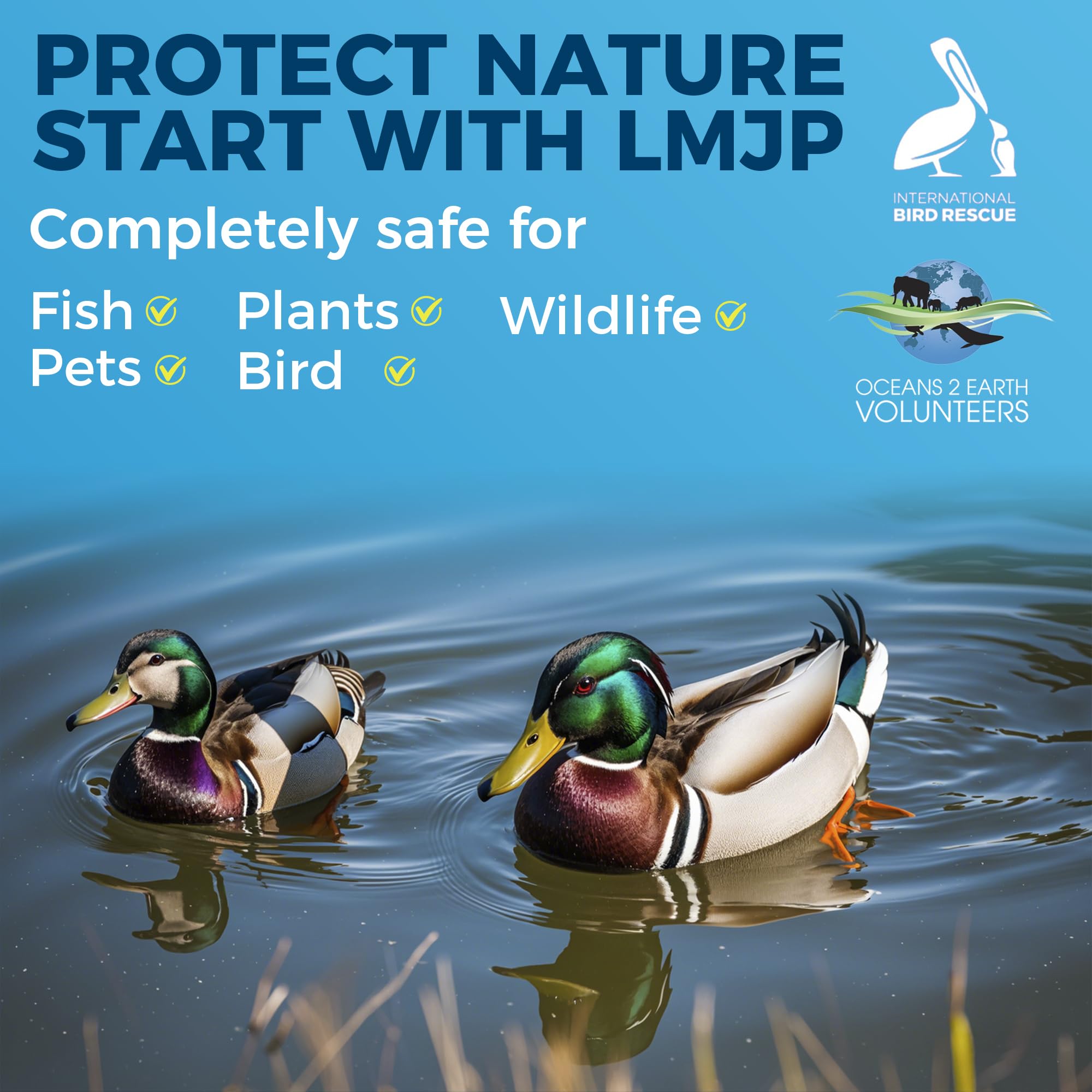 LMJP Odor control action reduces pond smells for a fresher outdoor space.