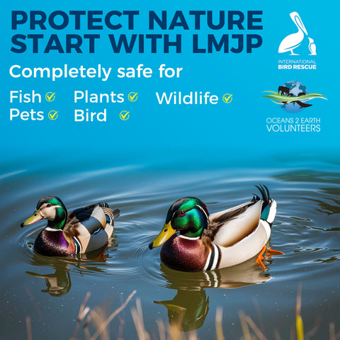 LMJP Odor control action reduces pond smells for a fresher outdoor space.
