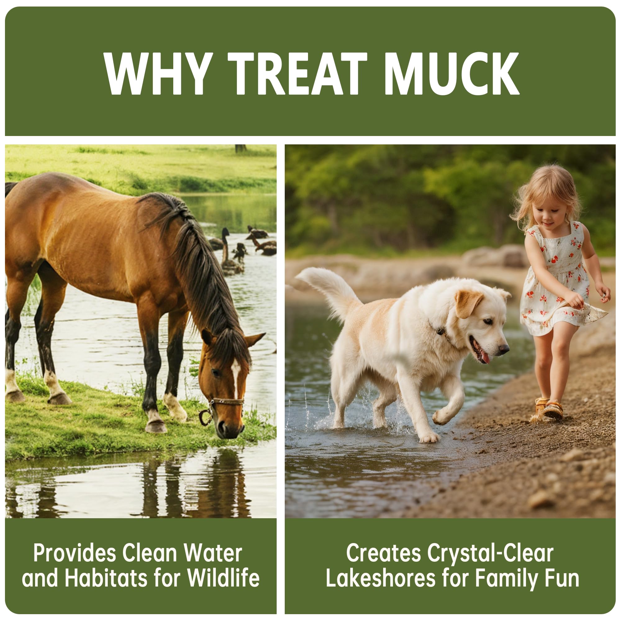 Pond sludge layer before treatment with LMJP product illustrating muck buildup