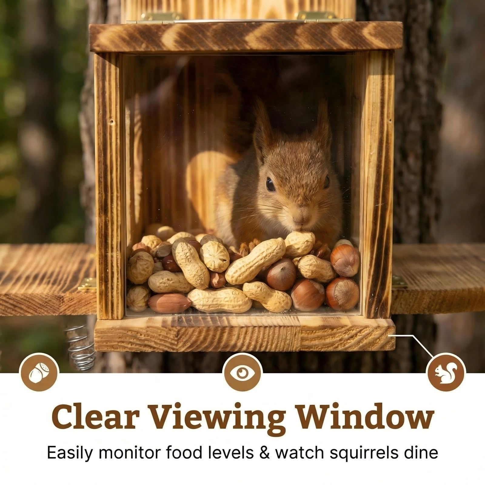Spacious Lnncdsc Squirrel House interior supports nesting and food storage.