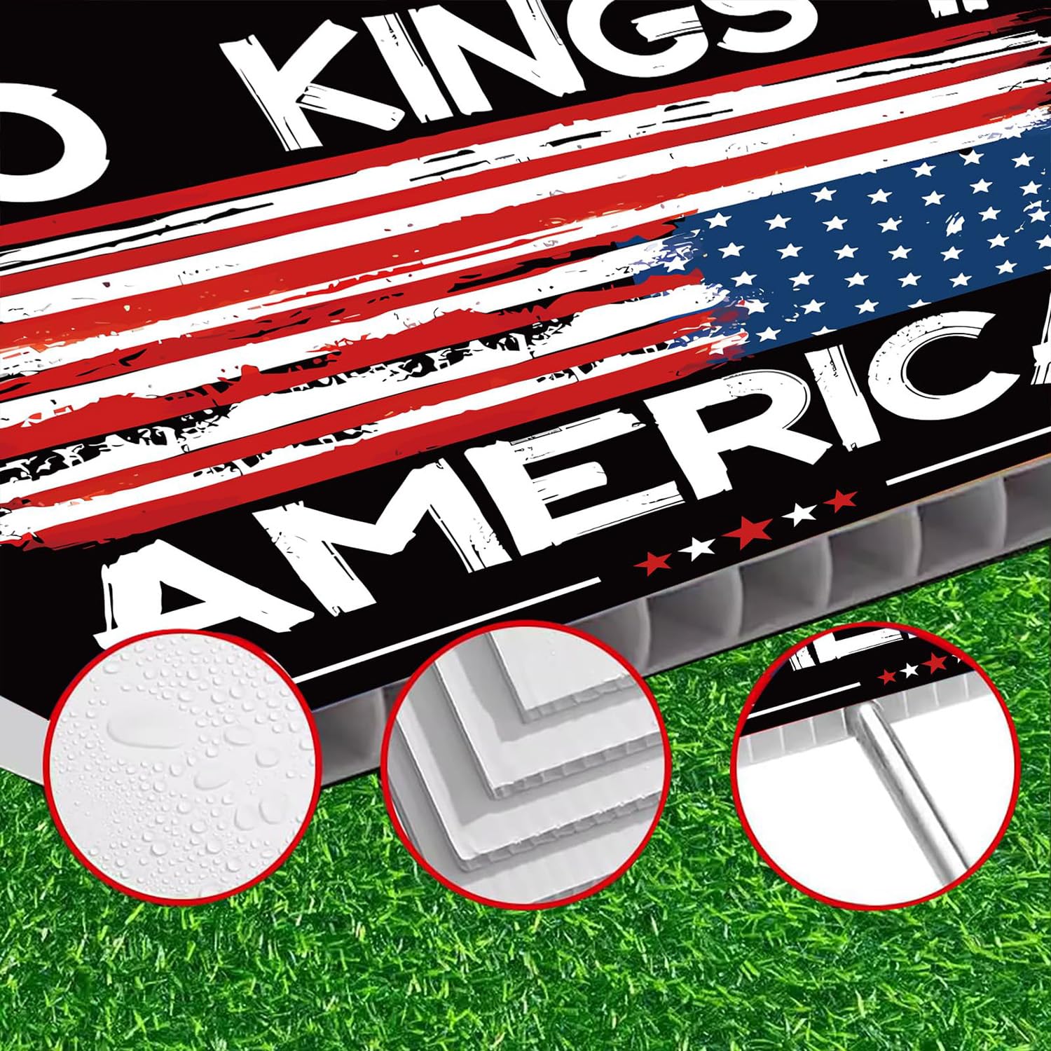 Lnyelxa No Kings In America sign yard or rally display for civic conversations.