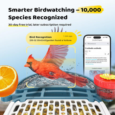 Loatos AI Bird Recognition interface provides species details in real time.
