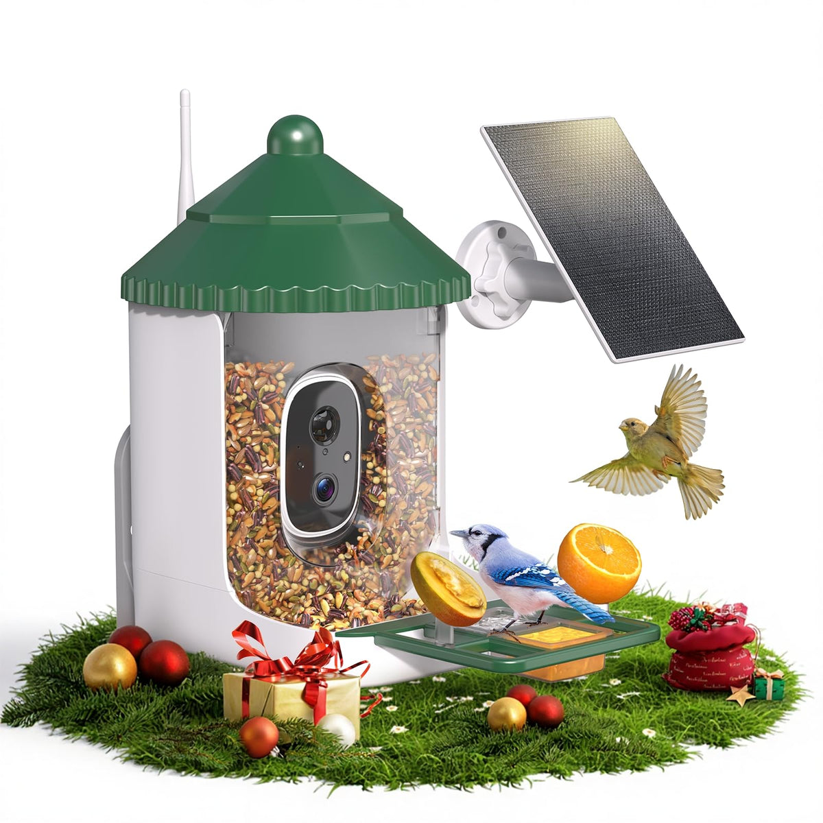 Loatos Bird Feeder with Camera captures crisp 2K video of backyard birds in daylight.