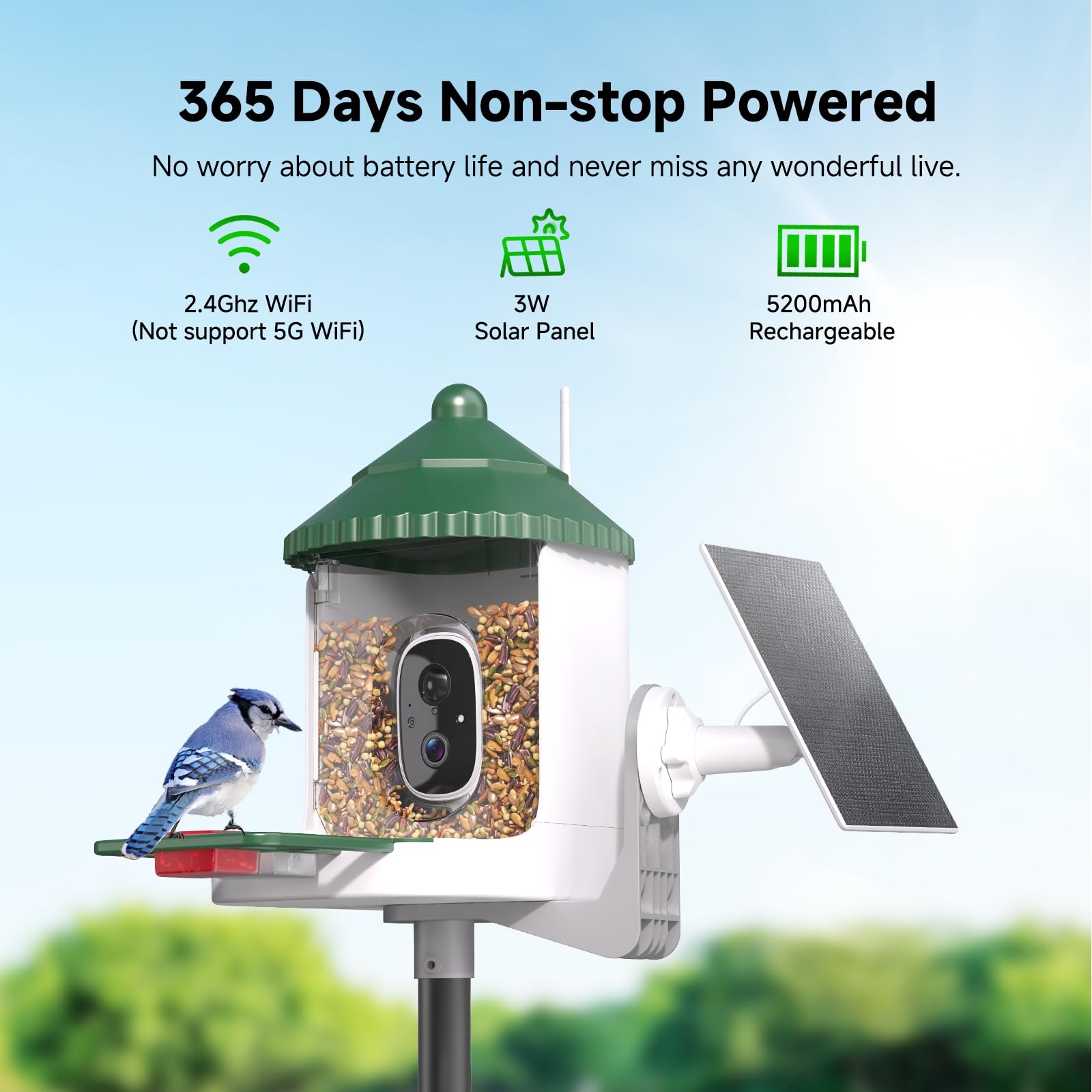 Loatos feeder sends instant arrivals alerts to your phone for new birds.