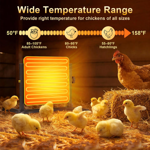 Lobeline brooder plate adjustable height and angle keeps chicks perfectly warmed.