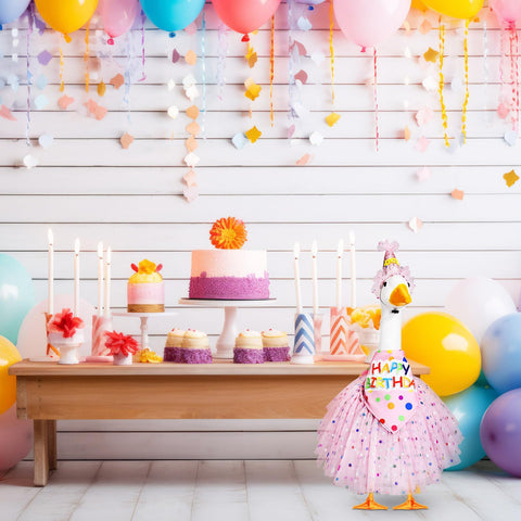 Locmeo birthday goose outfit ready to decorate gardens and photos
