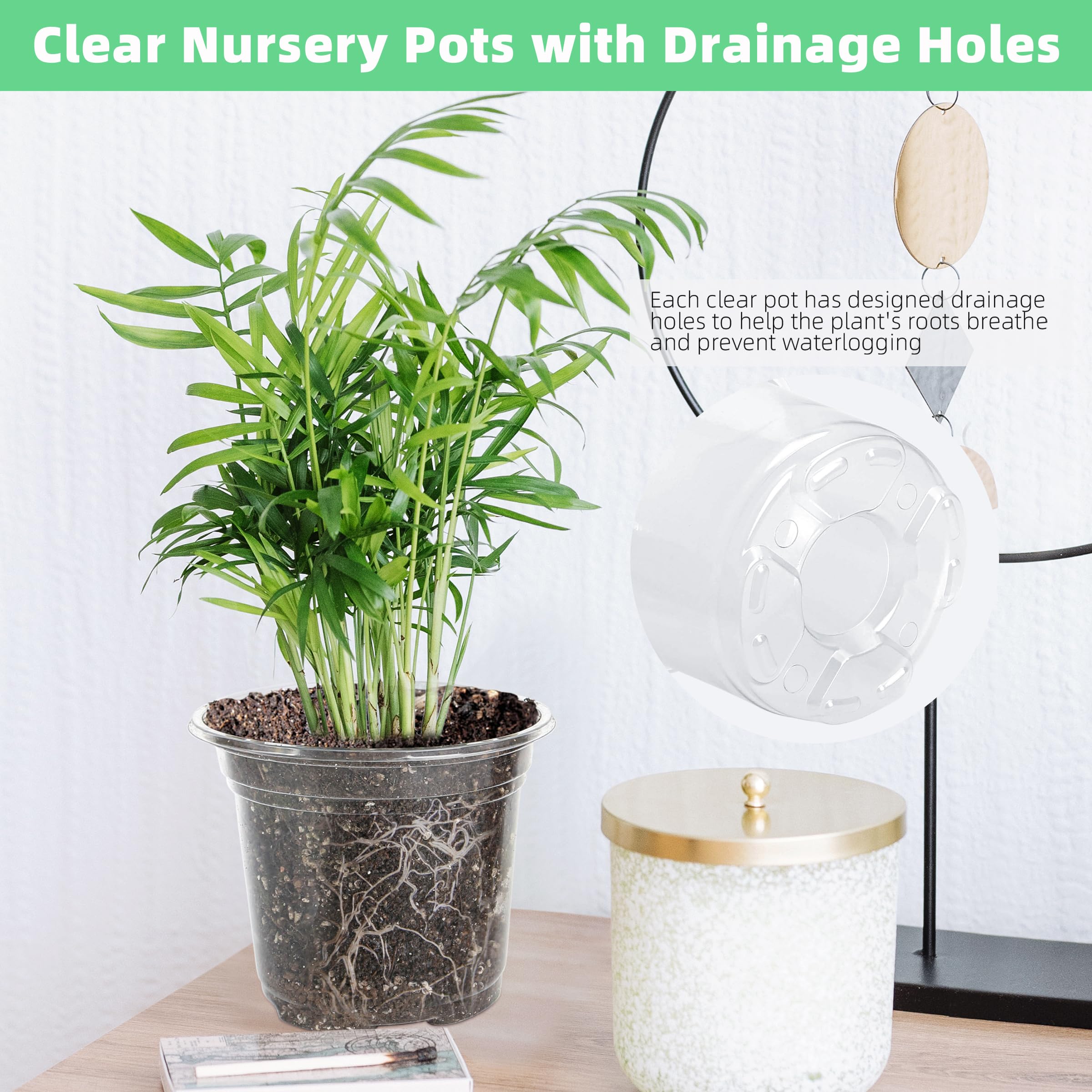 LOCONHA clear 3.5-inch pot ideal for small spaces and early transplanting projects.