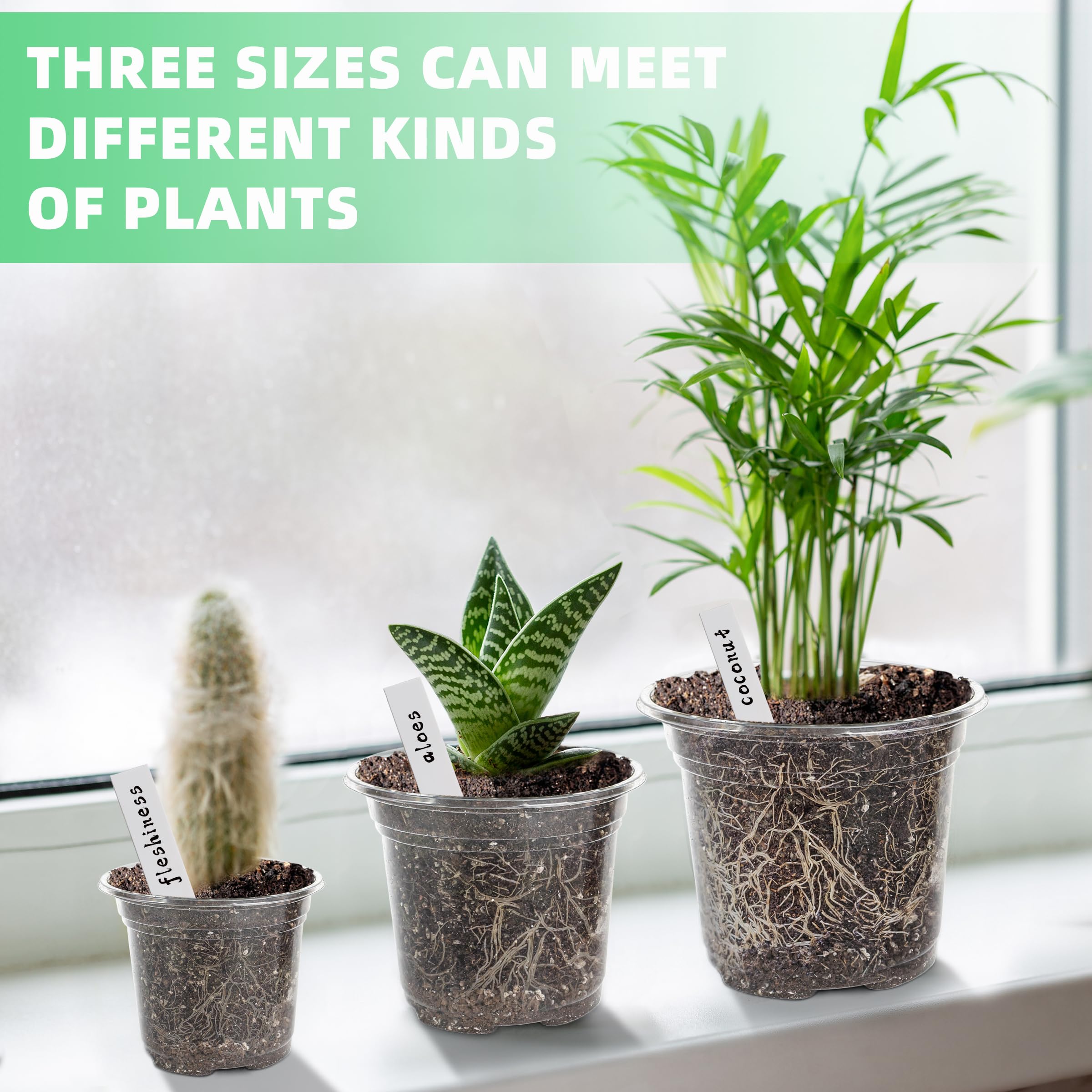 LOCONHA transparent design supports observing roots and moisture levels during care.