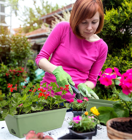 LOCONHA indoor-outdoor use ideal for herbs, flowers, or small vegetables.