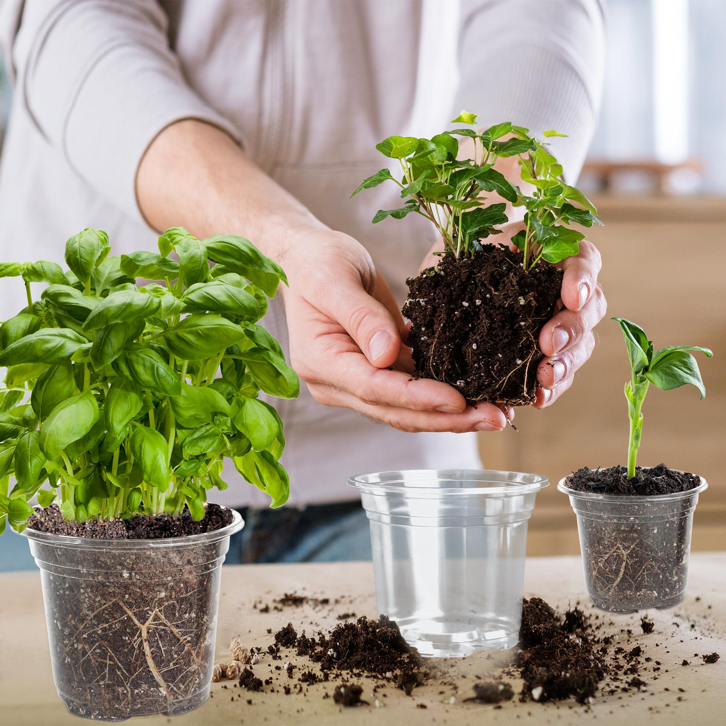 LOCONHA plant labels included to help organize species and growth stages.