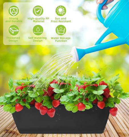 LOCONHA planter with drainage tray supports healthier potted plants