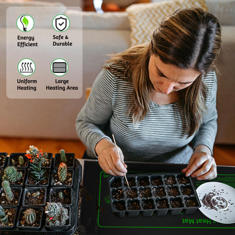 LOCONHA 24-hour safe operation for continuous propagation without overheating risk