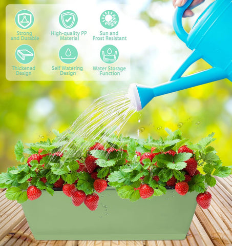 LOCONHA water inlet bottom design simplifies direct watering without splashes.