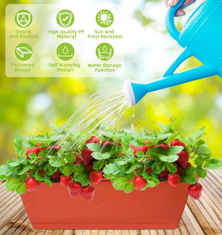 LOCONHA water inlet design enables direct, mess-free watering.