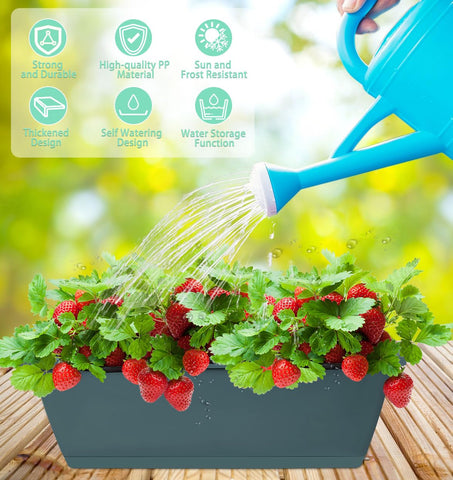 LOCONHA water inlet design enables direct watering without splashes.