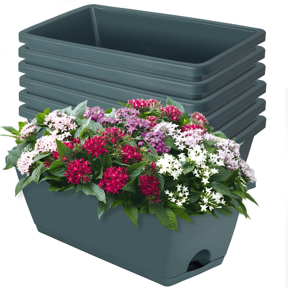 LOCONHA window box planter 7-pack for indoor and outdoor gardening versatility.