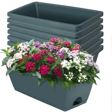 LOCONHA window box planter 7-pack for indoor and outdoor gardening versatility.
