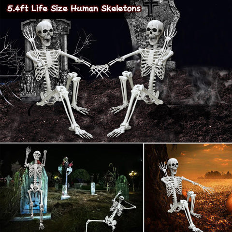 Lodou haunted-house prop skeleton for striking display at parties.