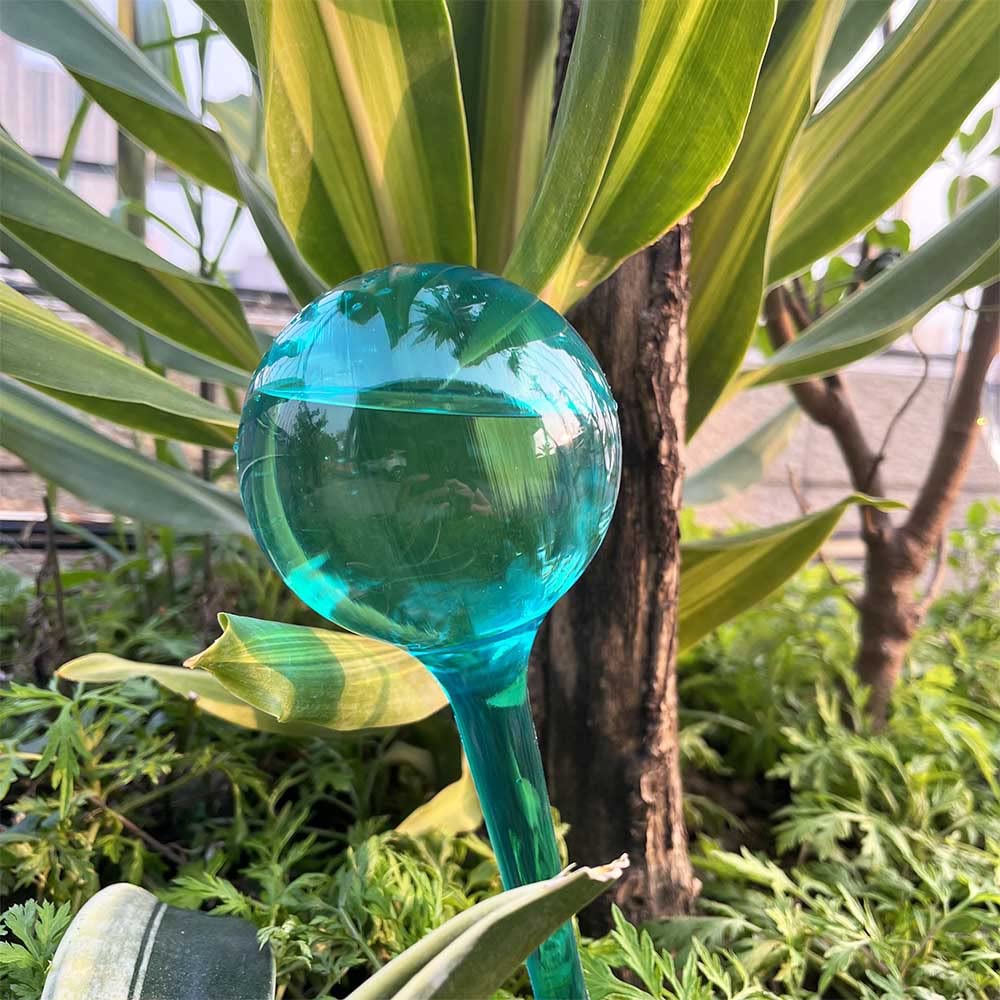Logresy self-watering globe in indoor plant setup delivers steady moisture.