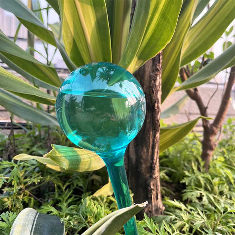 Logresy self-watering globe in indoor plant setup delivers steady moisture.