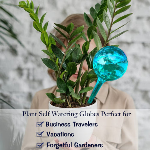 Logresy globe delivers water to the root zone for balanced hydration.