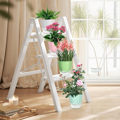 Lokeisna indoor plant setup using four 6-inch pots on a shelf.