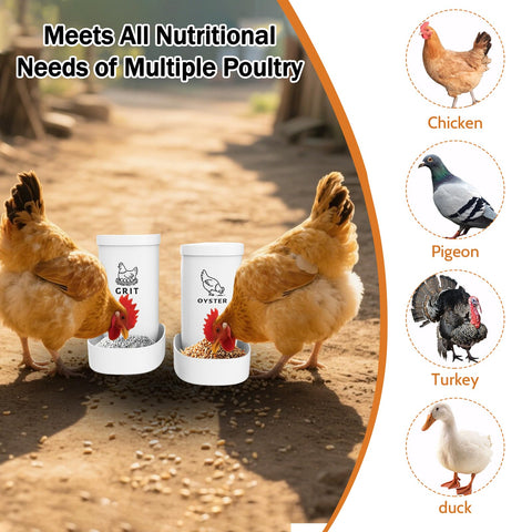 LOLEDE dual-use feeder for poultry and other birds