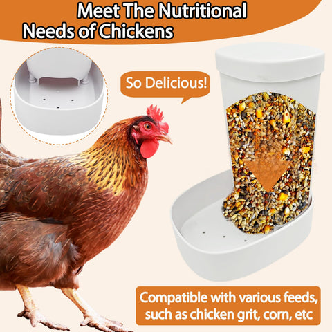 LOLEDE grit feeder provides chick grit for healthy development