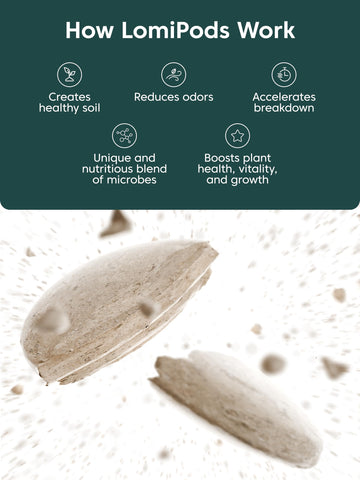 LOMI Pods-decomposition-boost demonstrates faster breakdown of kitchen scraps.