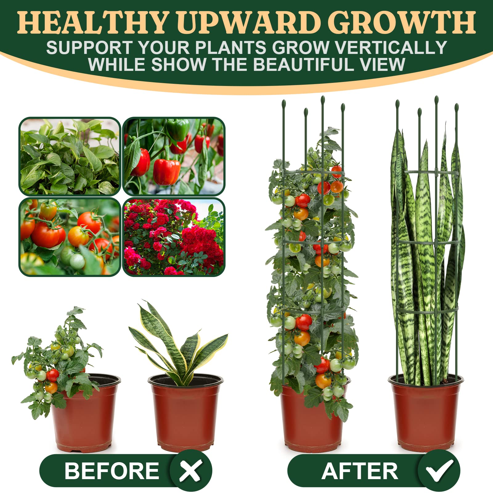 LOMNYIY pole-bean support keeps vines organized