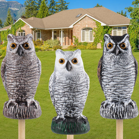 Lomrsiul fake owl decoy three-pack guards gardens from birds while enhancing curb appeal.