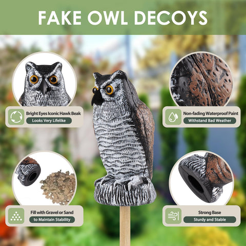 Lomrsiul three-styles owl set offers versatile look for spaces.