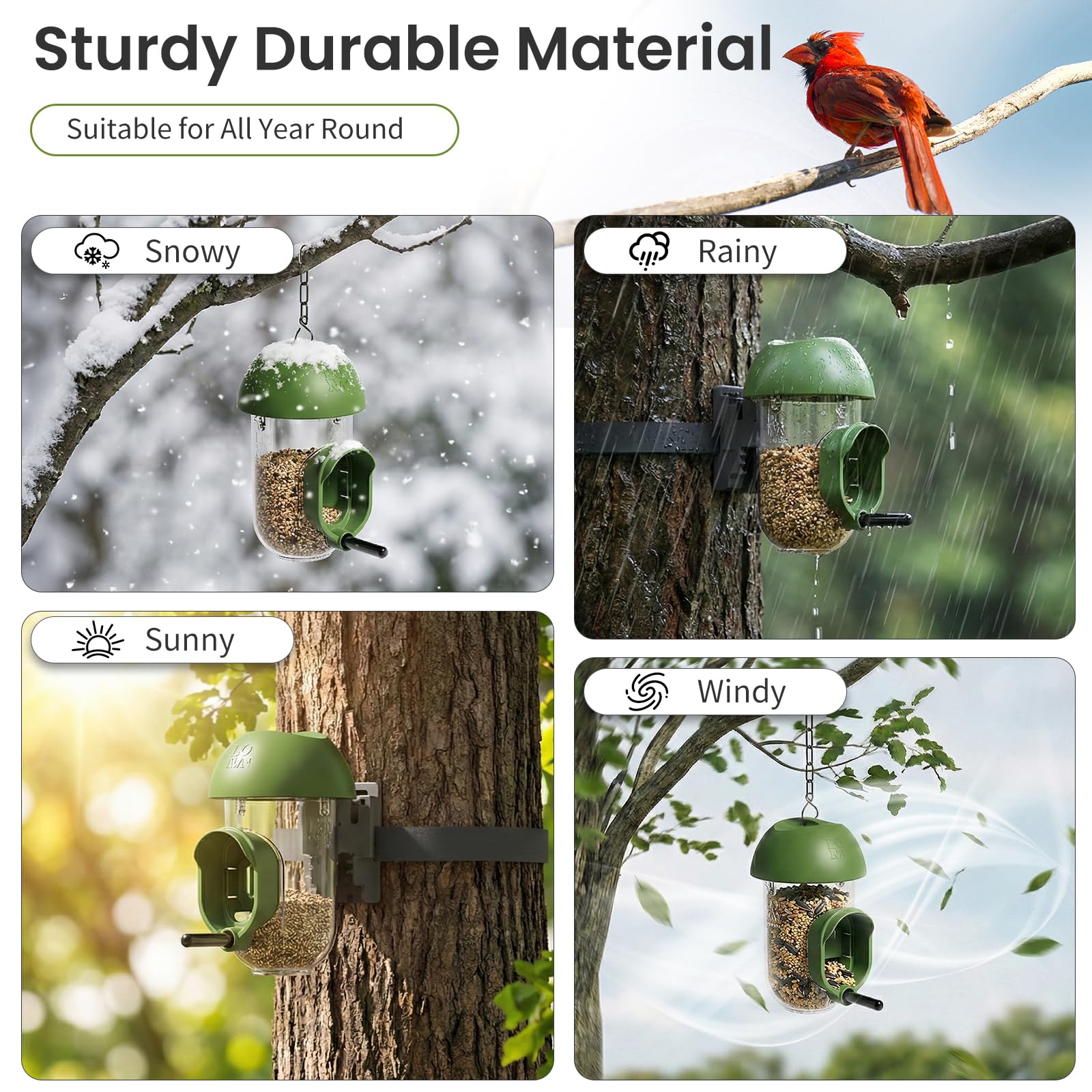 LO NA LOVE NATURE LONA attracts various wild birds to your backyard