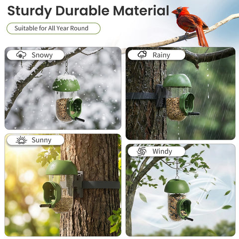 LO NA LOVE NATURE LONA attracts various wild birds to your backyard