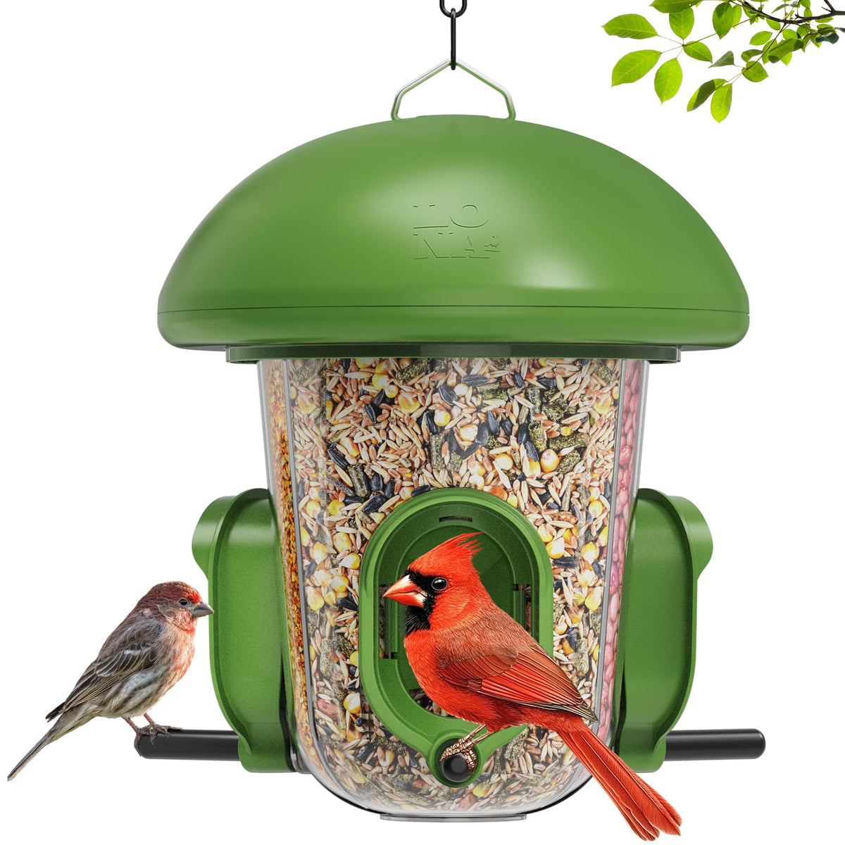 LO NA LOVE NATURE LONA bird feeder outdoors dome green attracts cardinals and finches.