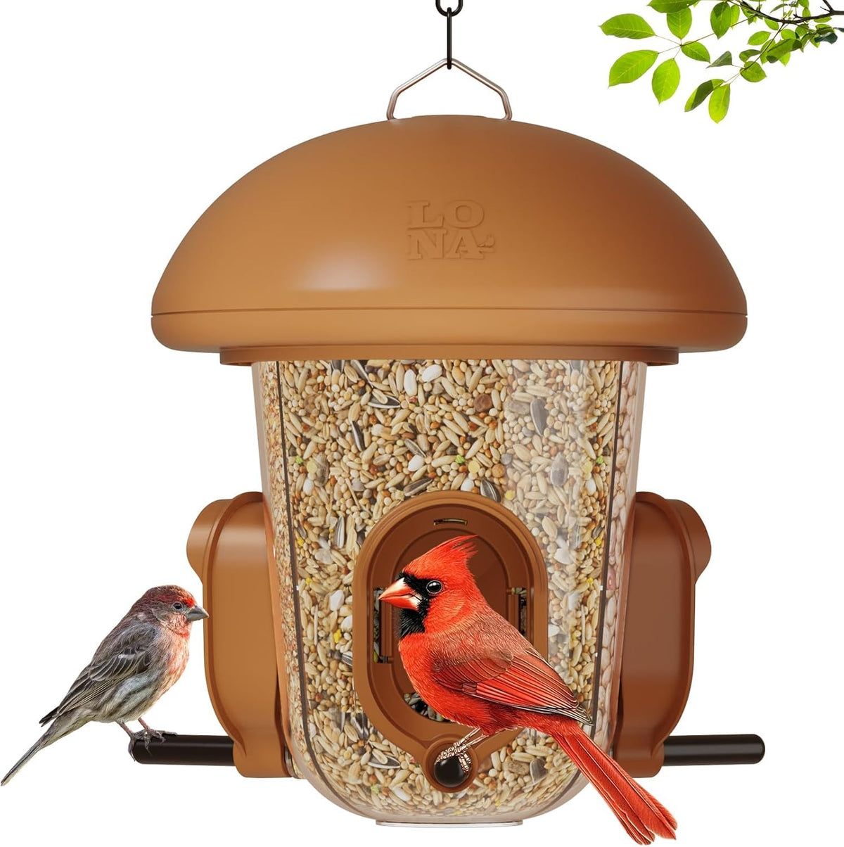 LO NA LOVE NATURE lona birdfeeder with dome cover attracts backyard birds.