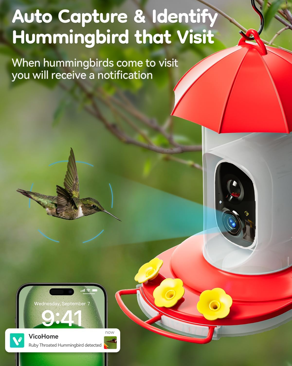 LongPlus feeder with built-in ant moat for uninterrupted nectar.