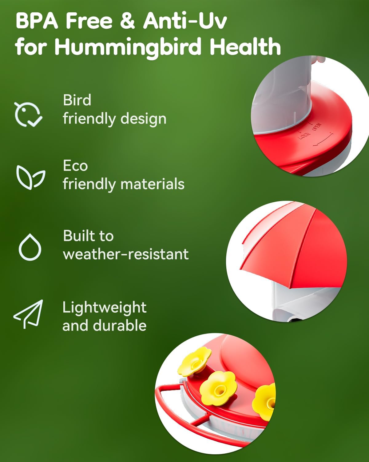 LongPlus cloud storage supports bird footage in the app.