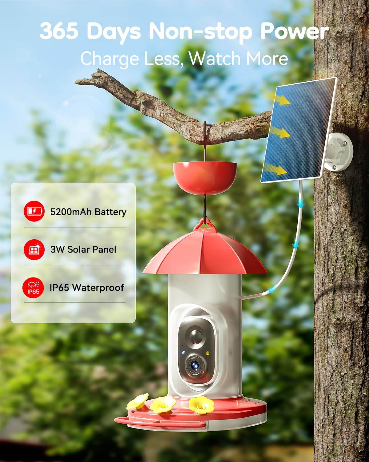 LongPlus feeder with three ports and perches demonstrates easy feeding.