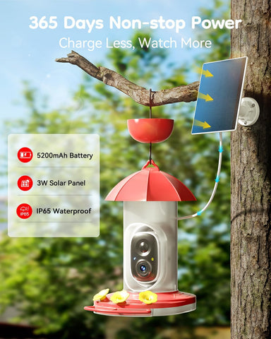 LongPlus feeder with three ports and perches demonstrates easy feeding.