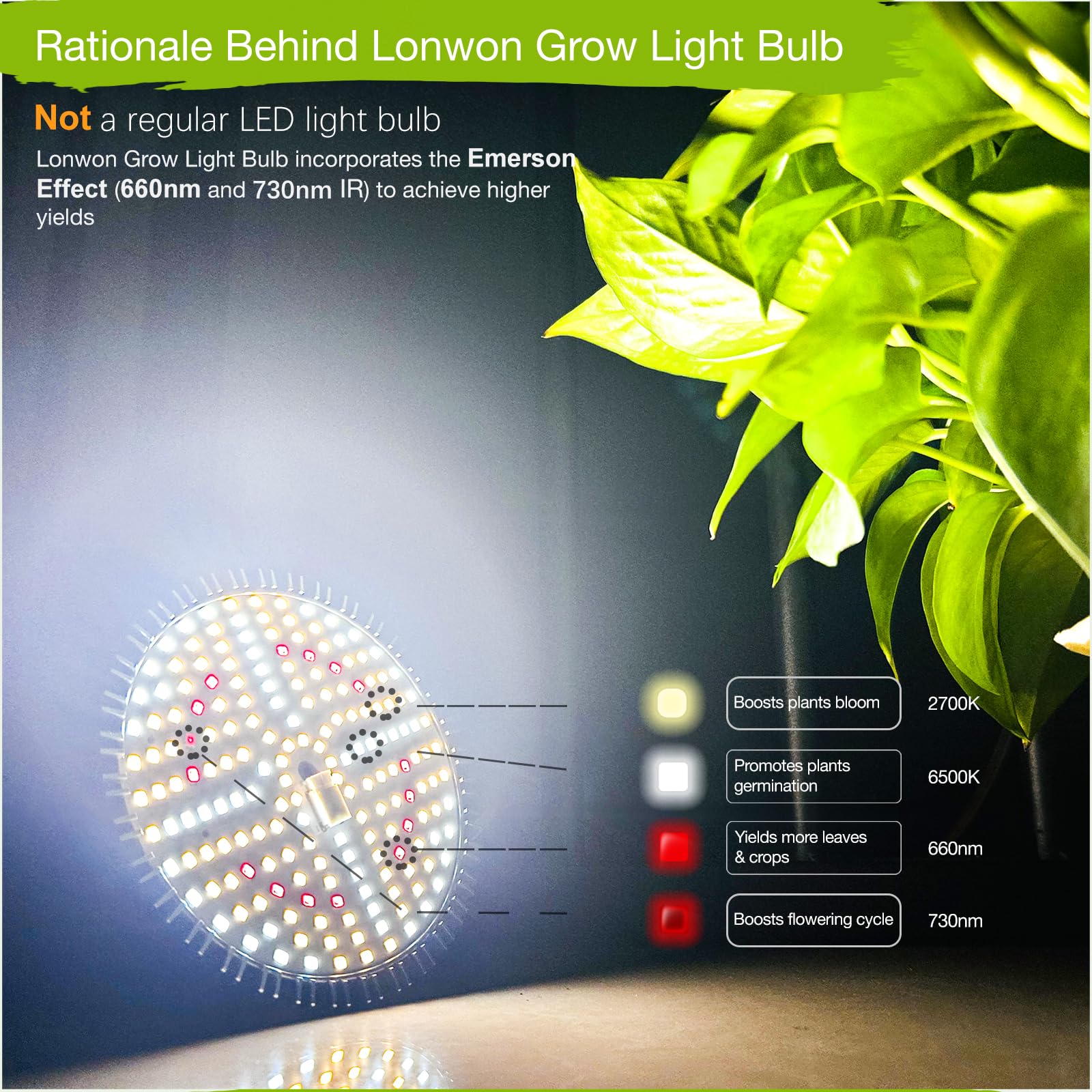 Lonwon bloom-and-fruit spectrum emphasizes flowering and fruiting with targeted reds