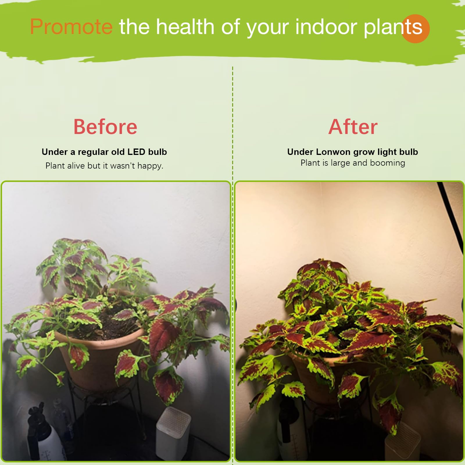 Lonwon easy-care indoor garden image shows simple mounting and steady performance
