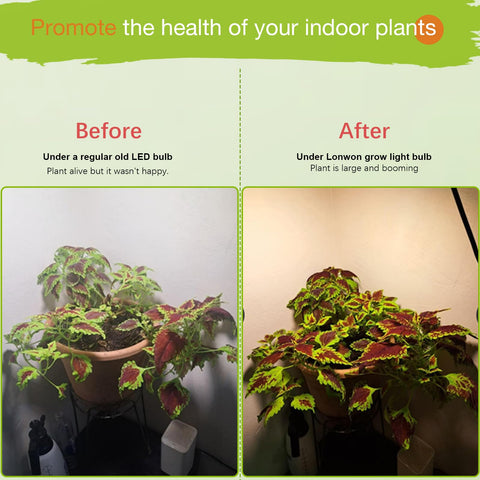 Lonwon easy-care indoor garden image shows simple mounting and steady performance